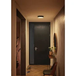 Plafonnier Philips Hue Enrave Led Noir, 1 Lumiere, Telecommandes
