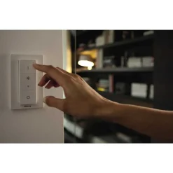 Plafonnier Philips Hue Runner Led Blanc, 1 Lumiere, Telecommandes
