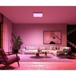 Plafonnier Philips Hue Surimu Led Blanc, 1 Lumiere, Changeur De Couleurs