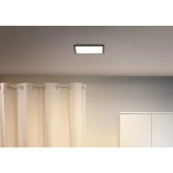 Plafonnier Philips Wiz Led Noir, 1 Lumiere