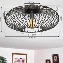 Plafonnier Wemude Noir Dore, 1 Lumiere