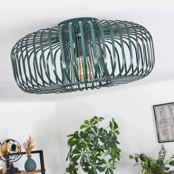 Plafonnier Wemude Vert, 1 Lumiere