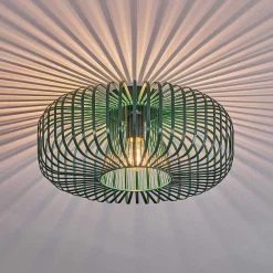 Plafonnier Wemude Vert, 1 Lumiere