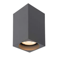 Spot De Plafond Lucide Delto Led Gris, 1 Lumiere