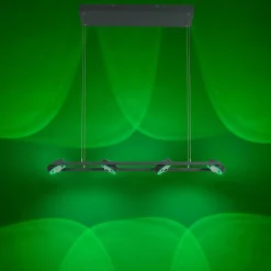 Suspension Paul Neuhaus Q-Mia Led Anthracite, 16 Lumieres, Telecommandes, Changeur De Couleurs