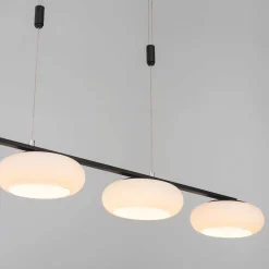 Suspension Paul Neuhaus Q-Etienne Led Noir, 4 Lumieres, Telecommandes