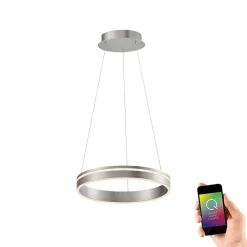 Suspension Paul Neuhaus Q-Vito Led Acier Inoxydable, 1 Lumiere, Telecommandes