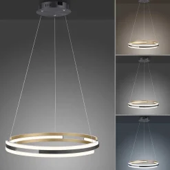 Suspension Paul Neuhaus Q-Beluga Led Or, 1 Lumiere, Telecommandes