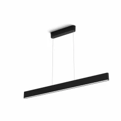 Suspension Philips Hue White & Color Ambiance Ensis Led Noir, 2 Lumieres, Changeur De Couleurs
