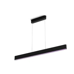 Suspension Philips Hue White & Color Ambiance Ensis Led Noir, 2 Lumieres, Changeur De Couleurs