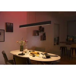 Suspension Philips Hue White & Color Ambiance Ensis Led Noir, 2 Lumieres, Changeur De Couleurs
