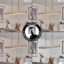 Suspension Rodeche Led Noir, 2 Lumieres