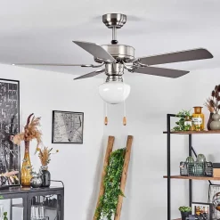 Ventilateur De Plafond Apiao Brun, Couleur Bois, Argente, 1 Lumiere