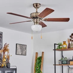 Ventilateur De Plafond Apiao Brun, Brun Clair, Couleur Bois, Argente, 1 Lumiere