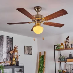 Ventilateur De Plafond Apiao Brun, Brun Clair, Couleur Bois, Argente, 1 Lumiere