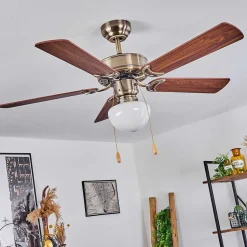 Ventilateur De Plafond Apiao Brun, Brun Clair, Couleur Bois, Argente, 1 Lumiere