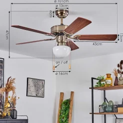 Ventilateur De Plafond Apiao Brun, Brun Clair, Couleur Bois, Argente, 1 Lumiere