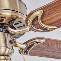 Ventilateur De Plafond Apiao Brun, Brun Clair, Couleur Bois, Argente, 1 Lumiere