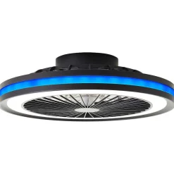 Ventilateur De Plafond Brilliant Palmero Noir, 1 Lumiere, Telecommandes, Changeur De Couleurs