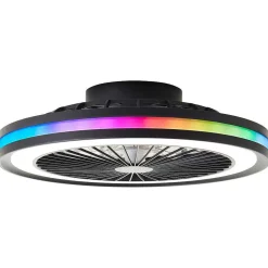 Ventilateur De Plafond Brilliant Palmero Noir, 1 Lumiere, Telecommandes, Changeur De Couleurs