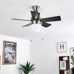 Ventilateur De Plafond Ellmau Chrome, Gris, Blanc, 1 Lumiere