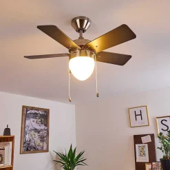 Ventilateur De Plafond Ellmau Chrome, Gris, Blanc, 1 Lumiere