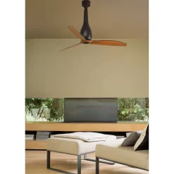 Ventilateur De Plafond Faro Barcelona Eter Noir