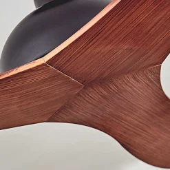 Ventilateur De Plafond Follseland Brun, Couleur Bois, Noir, Telecommandes