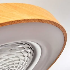 Ventilateur De Plafond Penon Led Blanc, 1 Lumiere, Telecommandes