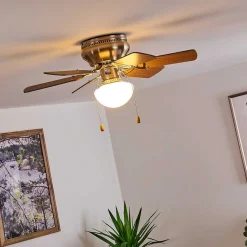 Ventilateur De Plafond Trillo Nickel Mat, 1 Lumiere