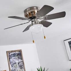 Ventilateur De Plafond Trillo Nickel Mat, 1 Lumiere