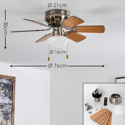 Ventilateur De Plafond Trillo Nickel Mat, 1 Lumiere